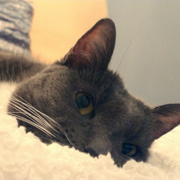 Meet your Posh Ambassador, Karina! - Picture 2 of 3